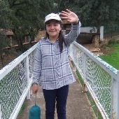 Denisse
